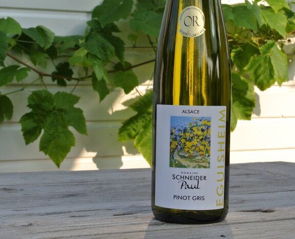 Pinot Gris Paul Schneider