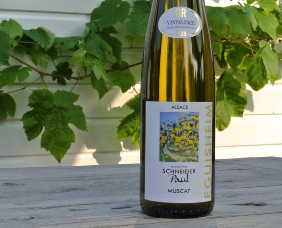 Muscat Paul Schneider