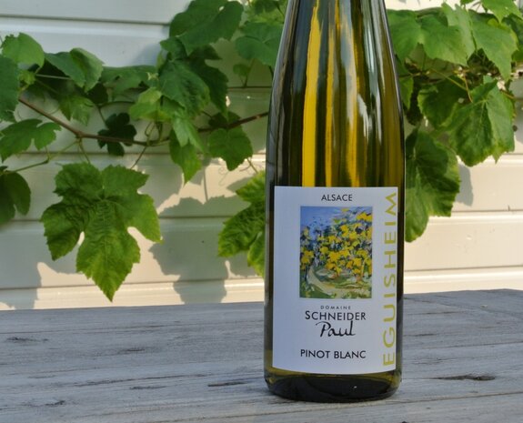 Pinot Blanc Paul Schneider
