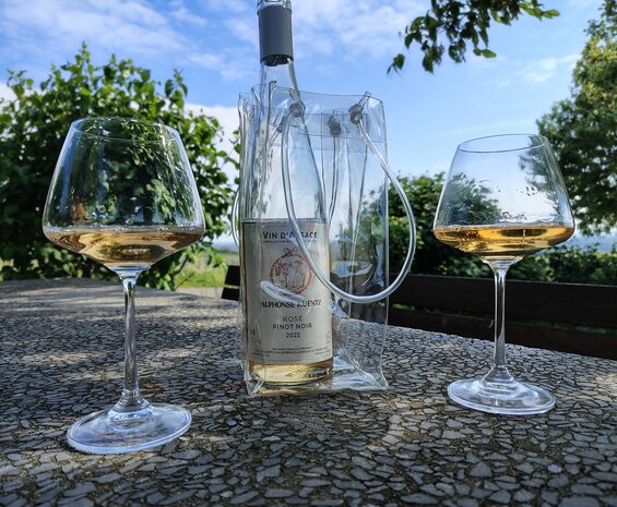 Pinot Noir Rose Alphonse Kuentz