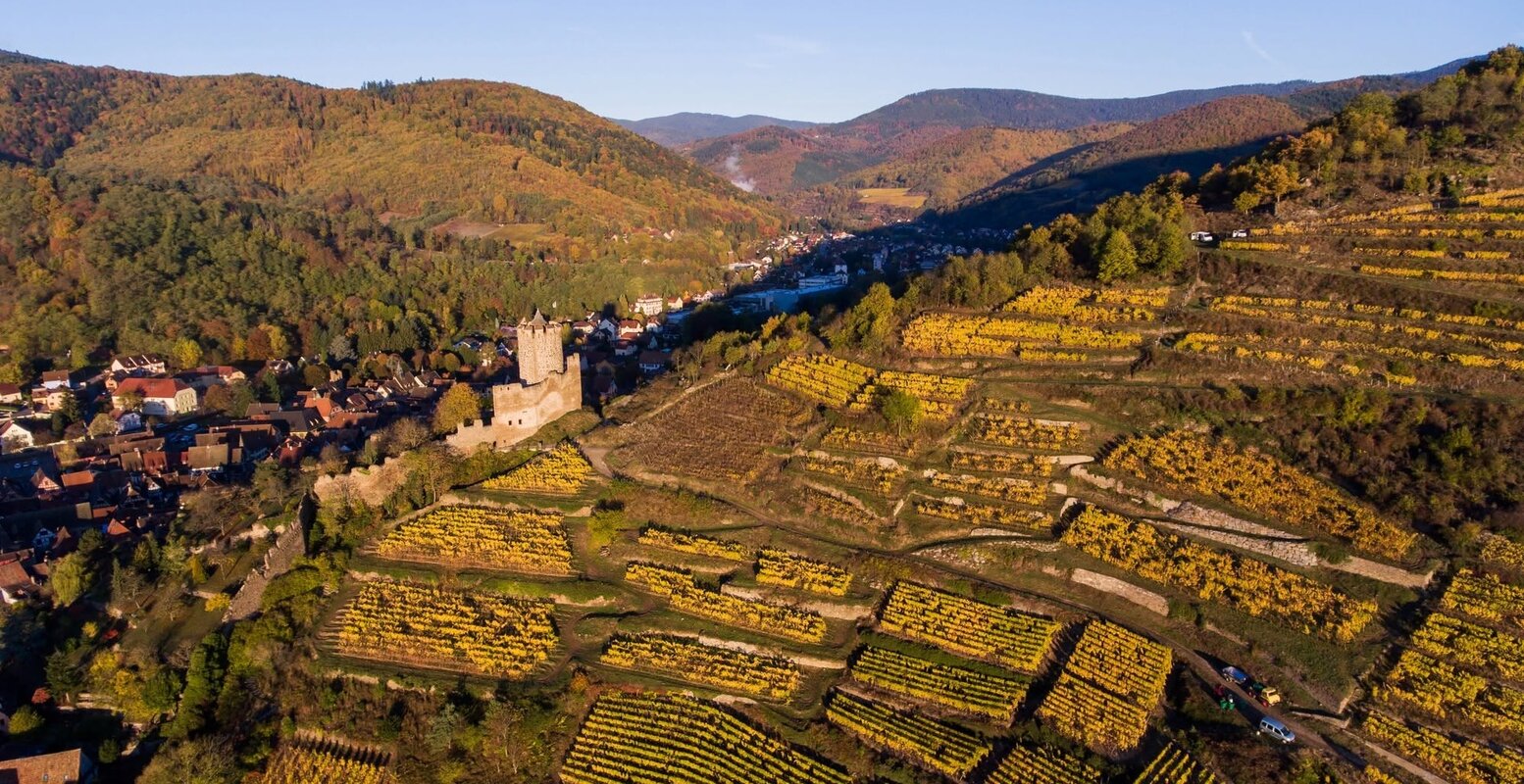 alsace-header_nl.jpg
